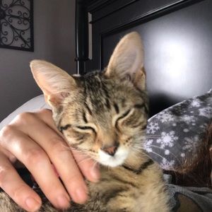 Meet your Posher, Denise